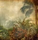 Timeless Tropics - Image 2