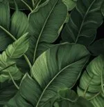 Tropical Banana Leaf - Image 2